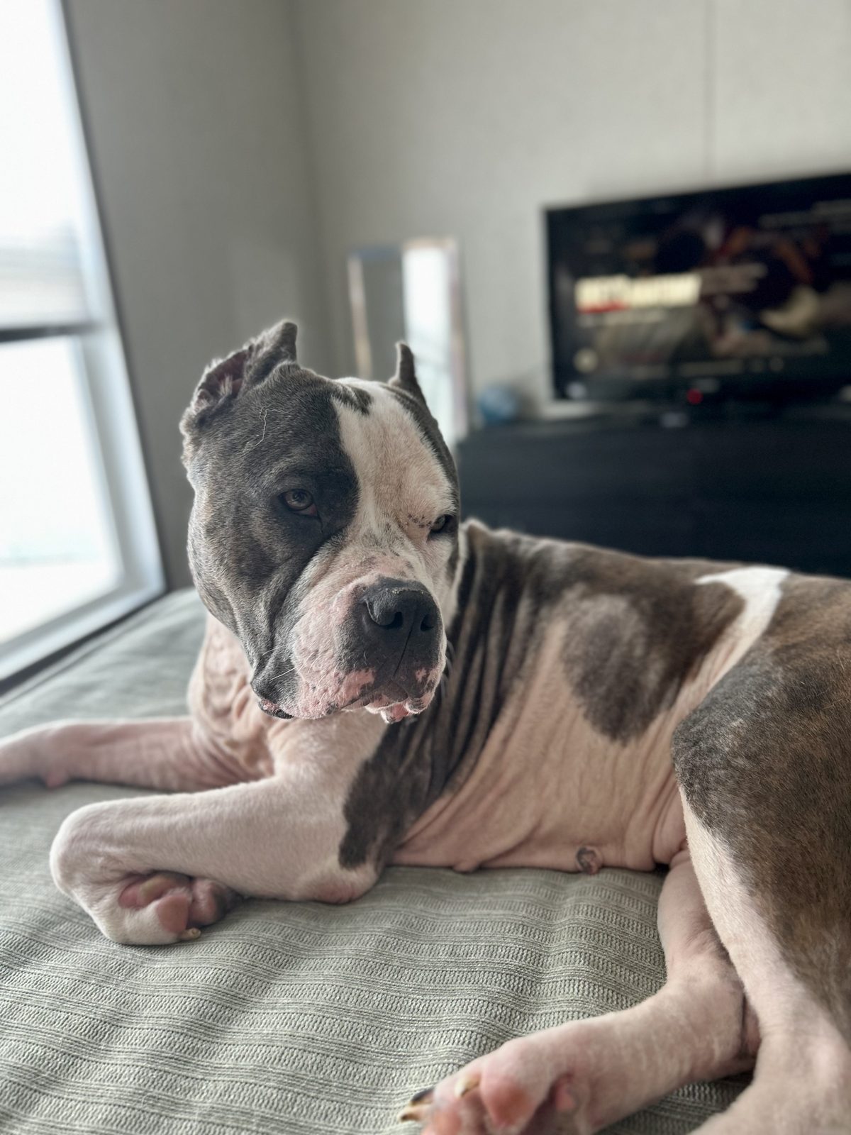 Xena